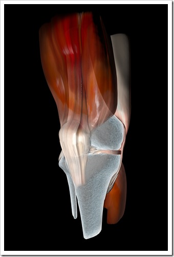 Knee Pain Caldwell NJ Sports Injury