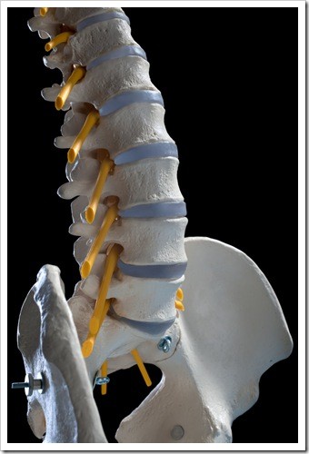 Herniated Disc and Back Pain Caldwell NJ